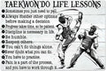 Taekwondo Life Lessons Metal Signs Athlete Posters Room Decor Tin Sign Club Home Garage Man Cave Farm Wall Decor Printed Plaque